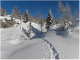 Koča pri Savici - Planina Lopučnica